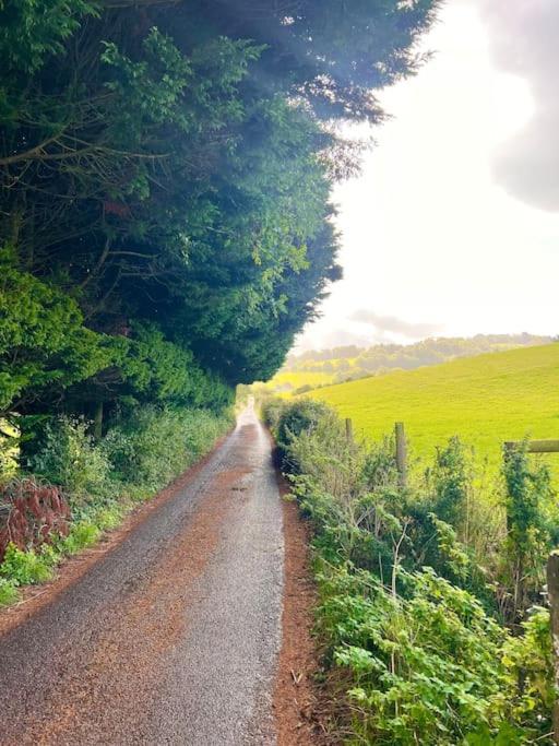 Countryside Converted Barn With Hot Tub Newton Abbot Εξωτερικό φωτογραφία