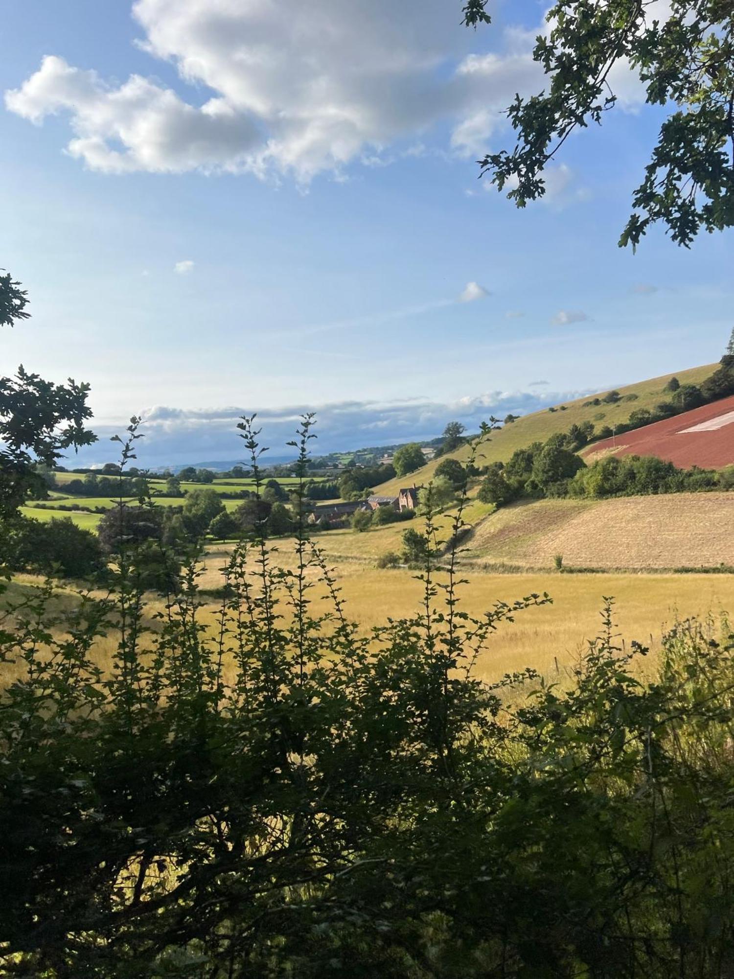 Countryside Converted Barn With Hot Tub Newton Abbot Εξωτερικό φωτογραφία